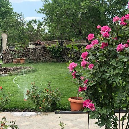 Chez Yvette Bed & Breakfast Garni Exterior foto